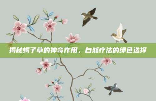 揭秘蝎子草的神奇作用，自然疗法的绿色选择