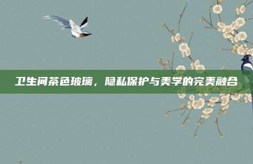 卫生间茶色玻璃，隐私保护与美学的完美融合