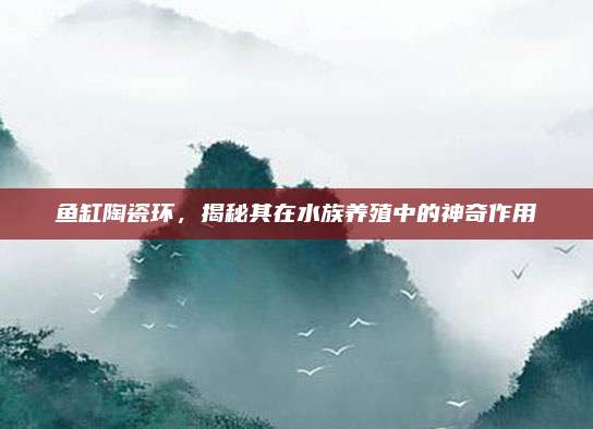 鱼缸陶瓷环，揭秘其在水族养殖中的神奇作用