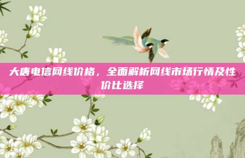 大唐电信网线价格，全面解析网线市场行情及性价比选择
