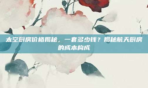 太空厨房价格揭秘，一套多少钱？揭秘航天厨房的成本构成