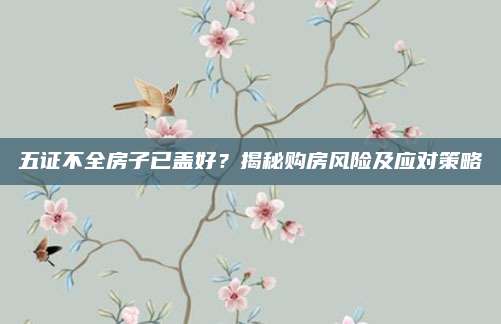 五证不全房子已盖好？揭秘购房风险及应对策略