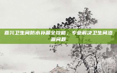 嘉兴卫生间防水补漏全攻略，专业解决卫生间渗漏问题