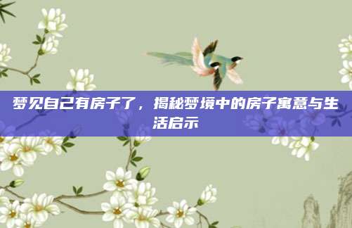 梦见自己有房子了，揭秘梦境中的房子寓意与生活启示