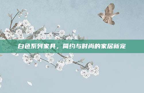 白色系列家具，简约与时尚的家居新宠