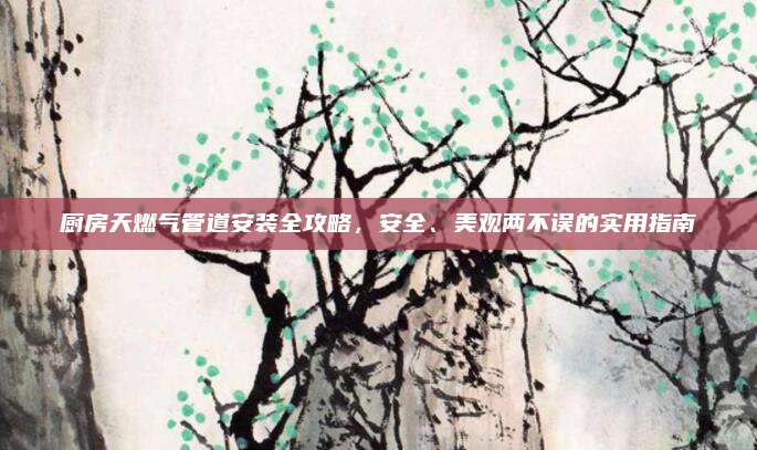 厨房天燃气管道安装全攻略，安全、美观两不误的实用指南