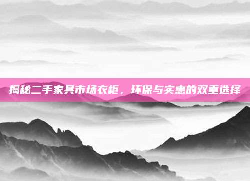 揭秘二手家具市场衣柜，环保与实惠的双重选择