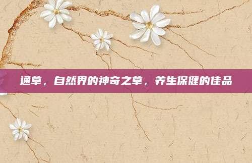 通草，自然界的神奇之草，养生保健的佳品