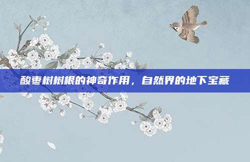 酸枣树树根的神奇作用，自然界的地下宝藏