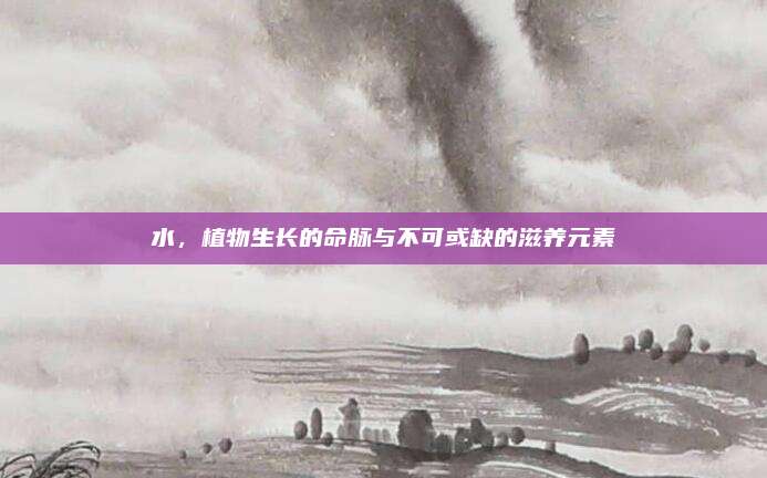 水，植物生长的命脉与不可或缺的滋养元素
