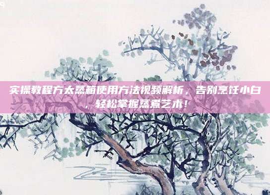 实操教程方太蒸箱使用方法视频解析，告别烹饪小白，轻松掌握蒸煮艺术！