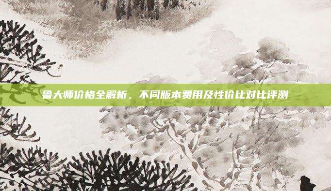鲁大师价格全解析，不同版本费用及性价比对比评测