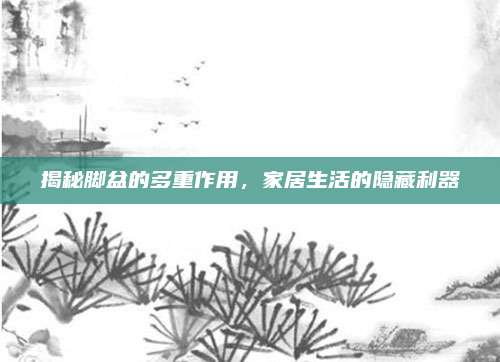 揭秘脚盆的多重作用，家居生活的隐藏利器