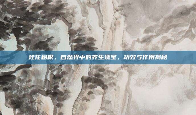 桂花树根，自然界中的养生瑰宝，功效与作用揭秘