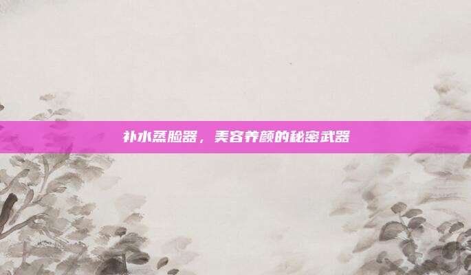 补水蒸脸器，美容养颜的秘密武器