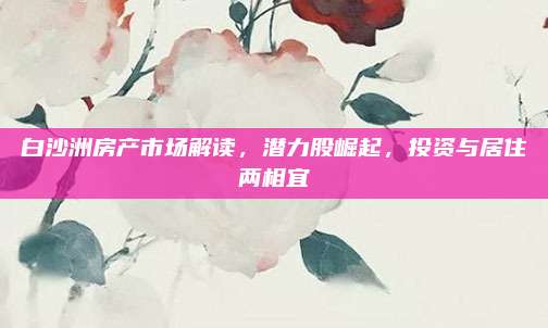 白沙洲房产市场解读，潜力股崛起，投资与居住两相宜