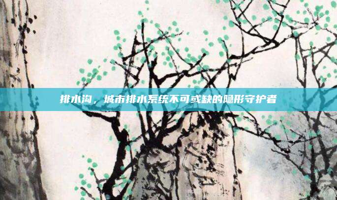 排水沟，城市排水系统不可或缺的隐形守护者