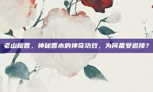 老山檀香，神秘香木的神奇功效，为何备受追捧？
