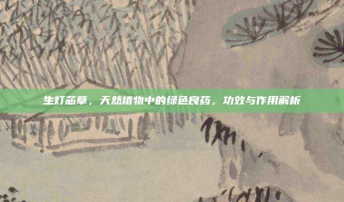 生灯芯草，天然植物中的绿色良药，功效与作用解析