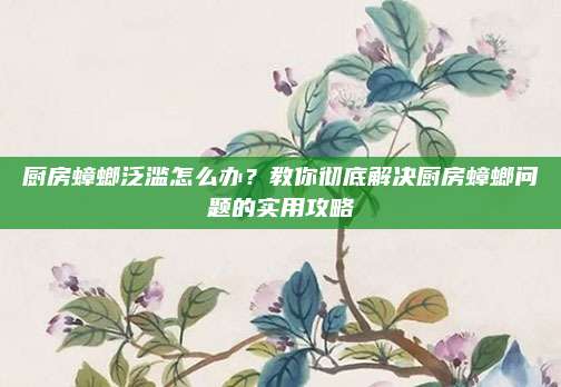 厨房蟑螂泛滥怎么办？教你彻底解决厨房蟑螂问题的实用攻略
