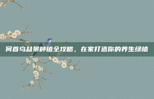 何首乌盆景种植全攻略，在家打造你的养生绿植