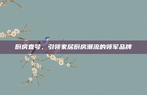 厨房壹号，引领家居厨房潮流的领军品牌