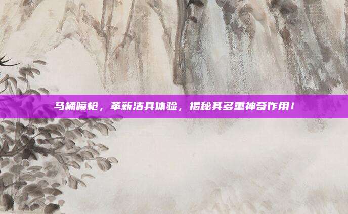 马桶喷枪，革新洁具体验，揭秘其多重神奇作用！