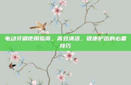 电动牙刷使用指南，高效清洁，健康护齿的必备技巧