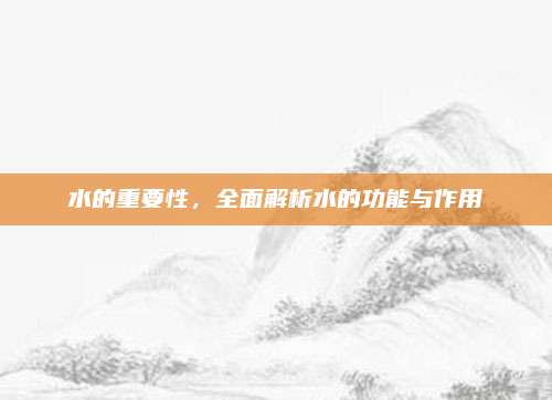 水的重要性，全面解析水的功能与作用
