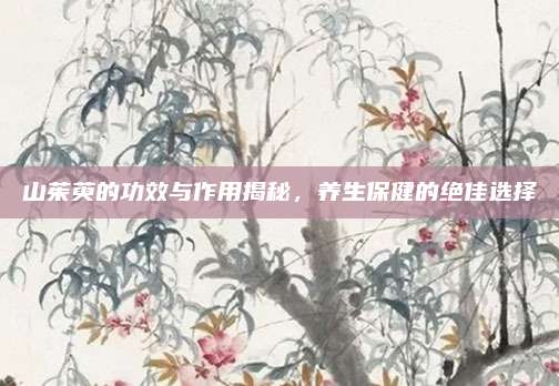 山茱萸的功效与作用揭秘，养生保健的绝佳选择