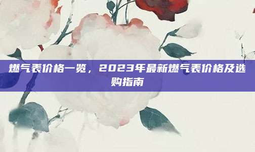 燃气表价格一览，2023年最新燃气表价格及选购指南