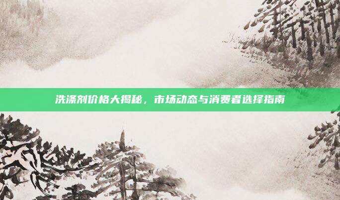 洗涤剂价格大揭秘，市场动态与消费者选择指南