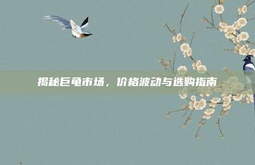 揭秘巨龟市场，价格波动与选购指南