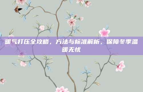 暖气打压全攻略，方法与标准解析，保障冬季温暖无忧
