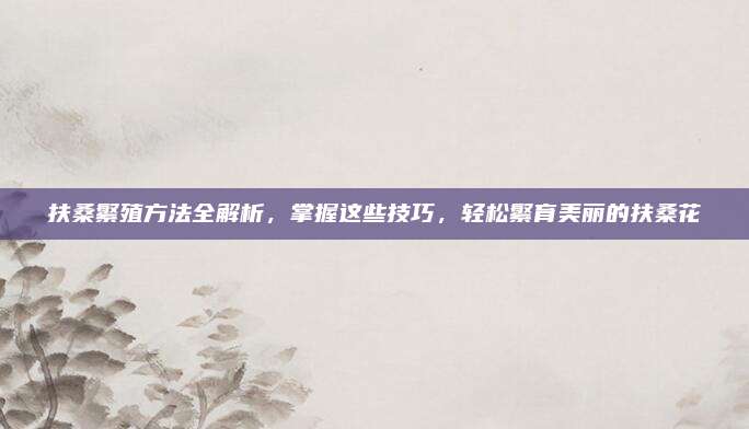 扶桑繁殖方法全解析，掌握这些技巧，轻松繁育美丽的扶桑花