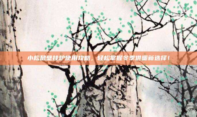 小松鼠壁挂炉使用攻略，轻松掌握冬季供暖新选择！