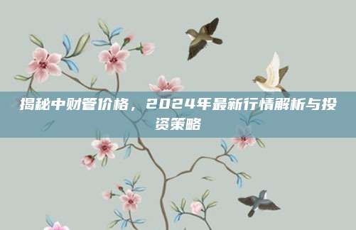 揭秘中财管价格，2024年最新行情解析与投资策略