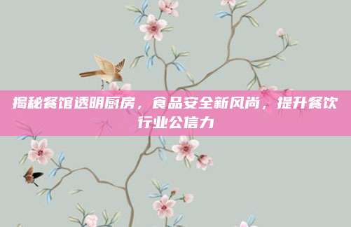 揭秘餐馆透明厨房，食品安全新风尚，提升餐饮行业公信力