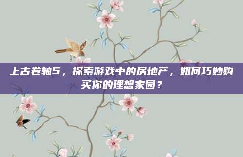 上古卷轴5，探索游戏中的房地产，如何巧妙购买你的理想家园？