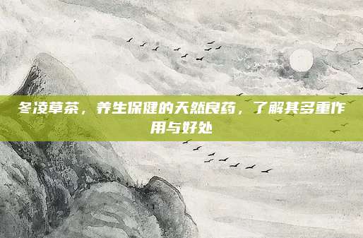 冬凌草茶，养生保健的天然良药，了解其多重作用与好处