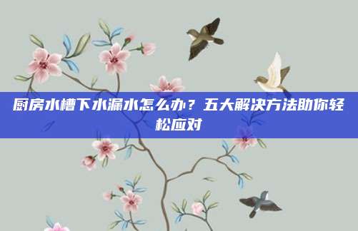 厨房水槽下水漏水怎么办？五大解决方法助你轻松应对