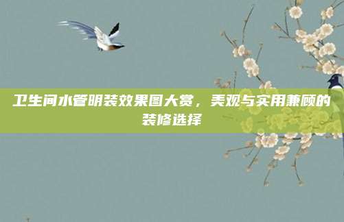 卫生间水管明装效果图大赏，美观与实用兼顾的装修选择