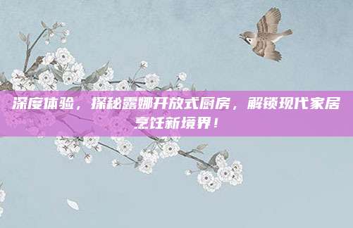 深度体验，探秘露娜开放式厨房，解锁现代家居烹饪新境界！