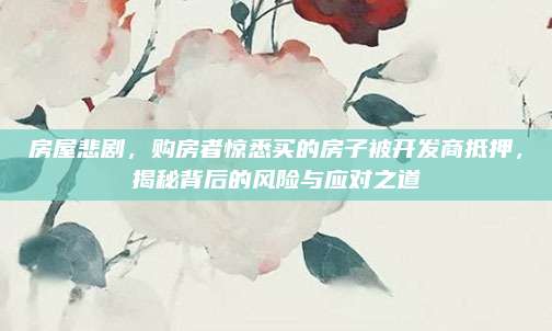 房屋悲剧，购房者惊悉买的房子被开发商抵押，揭秘背后的风险与应对之道