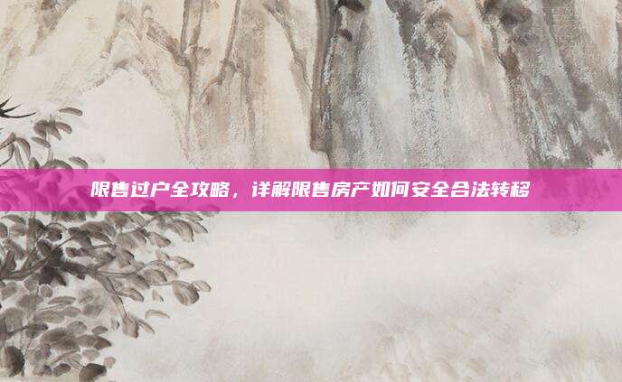 限售过户全攻略，详解限售房产如何安全合法转移