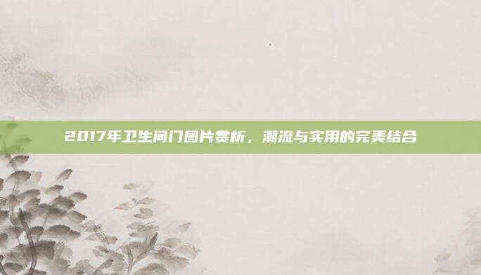 2017年卫生间门图片赏析，潮流与实用的完美结合
