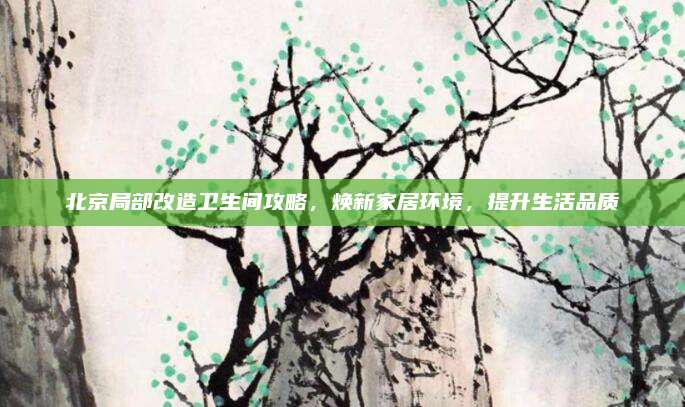 北京局部改造卫生间攻略，焕新家居环境，提升生活品质