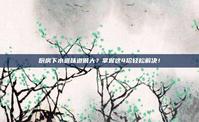 厨房下水道味道很大？掌握这4招轻松解决！