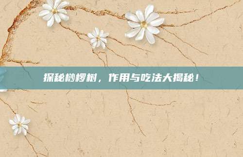 探秘桫椤树，作用与吃法大揭秘！
