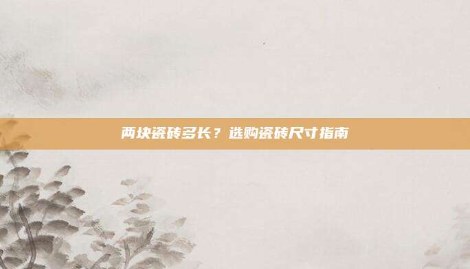 两块瓷砖多长？选购瓷砖尺寸指南